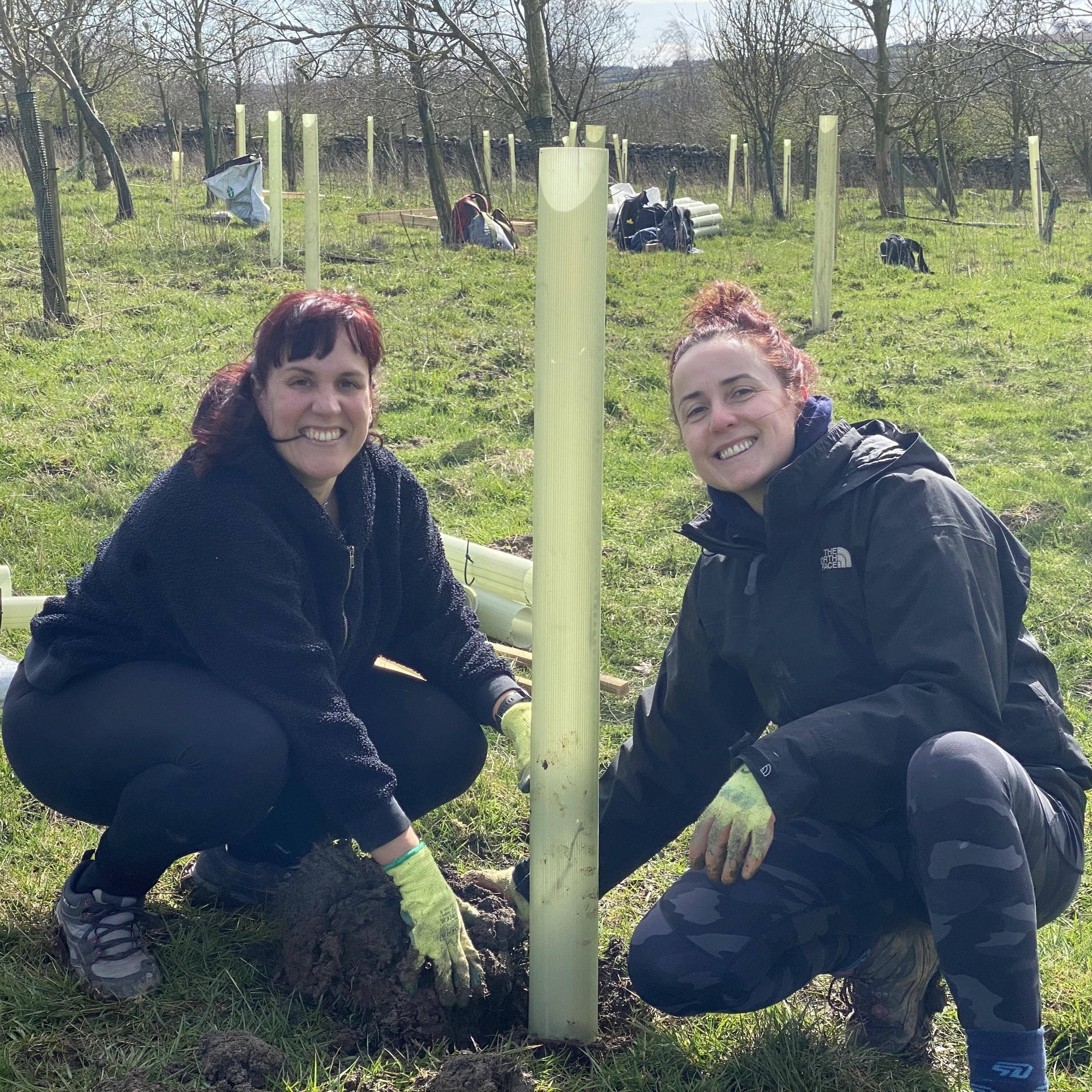 Colleagues volunteering with the Yorkshire Dales Millennium Trust
