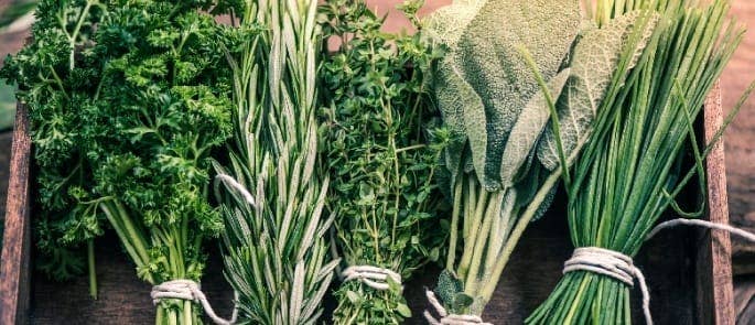 herbs being stored with individual ropes