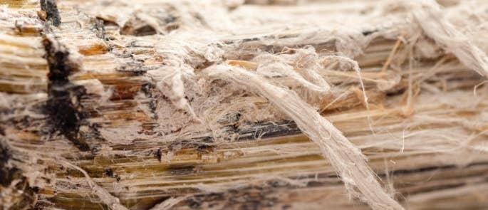 Asbestos fibres