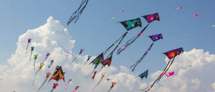 Kites flying in the sky