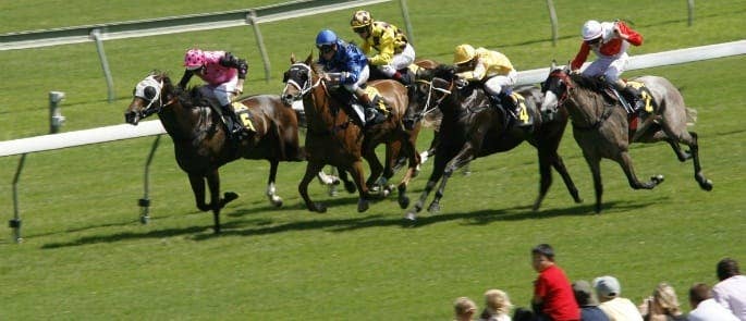 gambling in horse racing