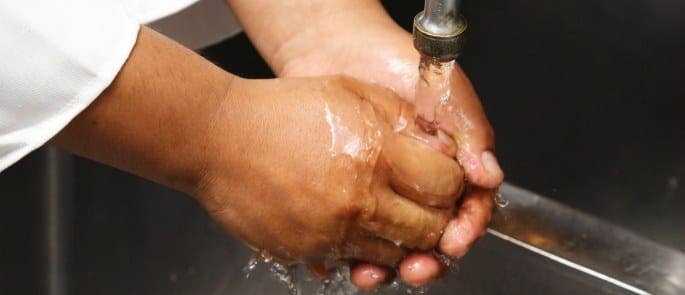 food handler washing hands