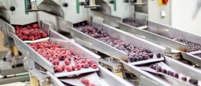 Packaging frozen raspberries