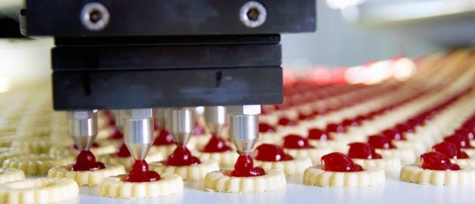 Biscuits being produced in a factory