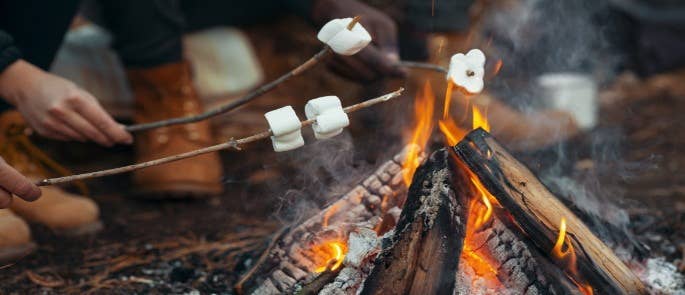 Toasting marshmallows over a fire