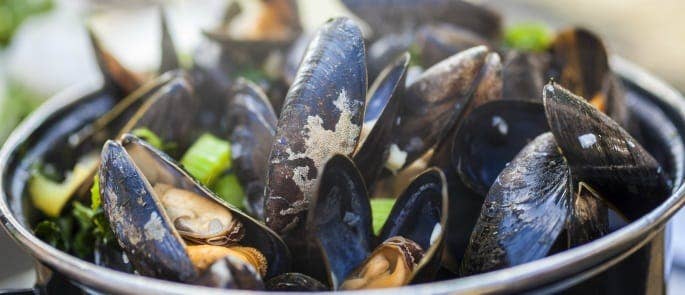 A bowl of mussels 