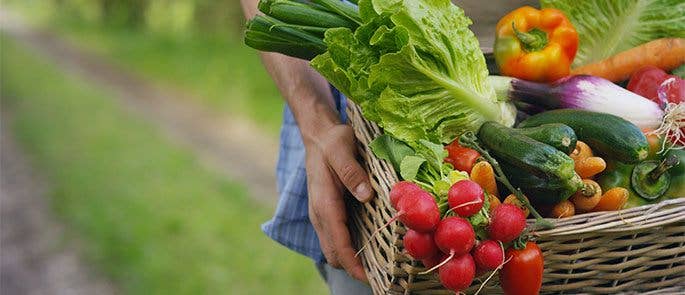 Fruits and vegetables