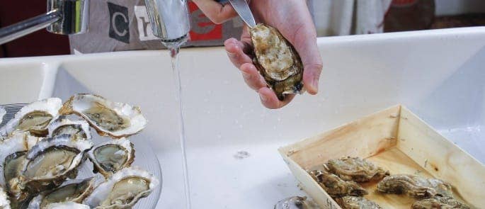 A chef shucking oysters