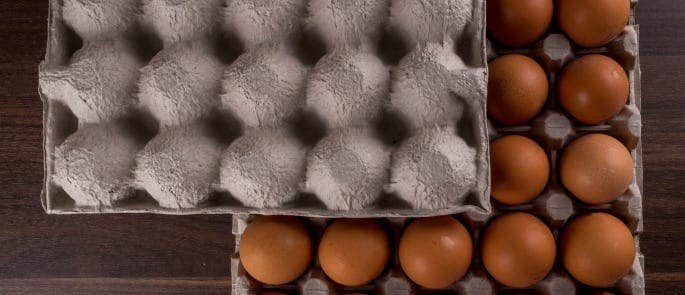 storing eggs