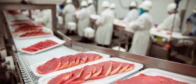 Packaging food in a factory