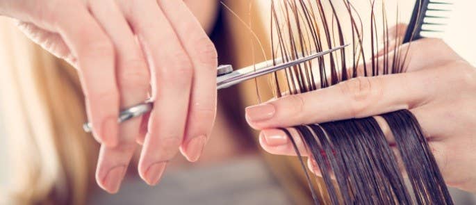 A hairdresser cutting a clients hair