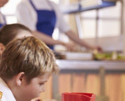 What are the Food Hygiene Requirements in a School?