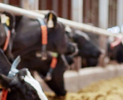 How to Manage Health & Safety on Your Farm