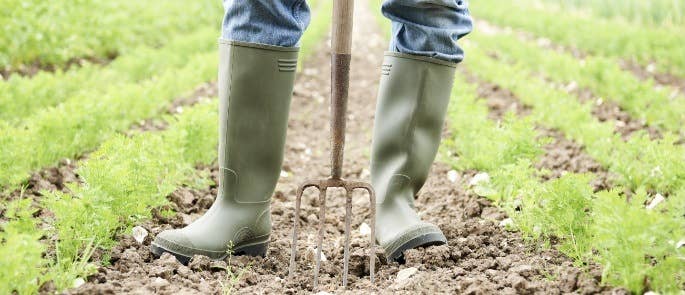 Farmer digging his land