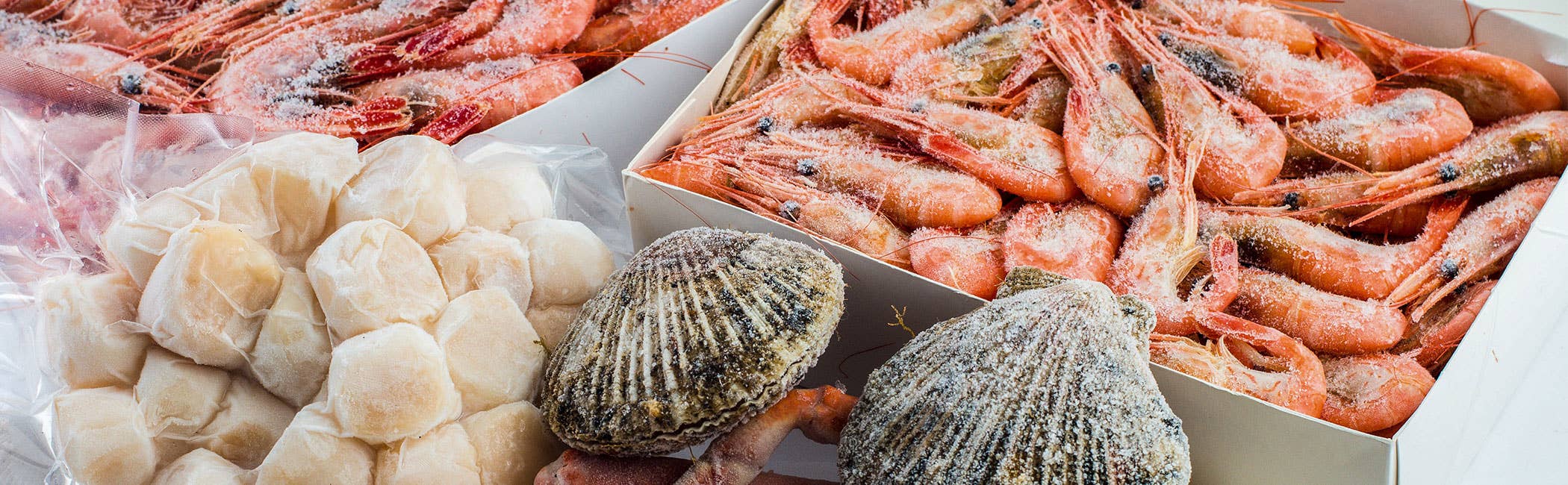 temperature to keep food frozen