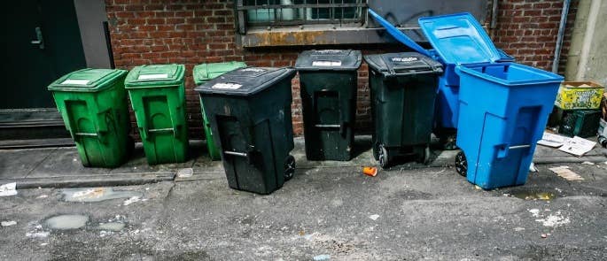 bins outside restaurant