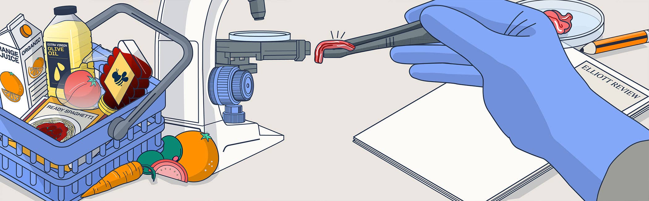 The Horsemeat Scandal Facts, Effects & Lessons Learned