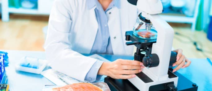 Scientist uses microscope to look at piece of fish, testing for fraud.