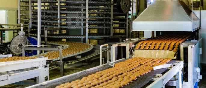 Biscuits on a conveyor belt system inside a large manufacturer.