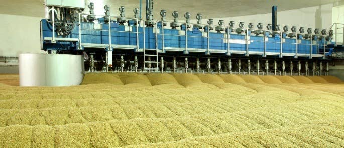 Large storehouse of malt with an automatic arm working through stirring it.