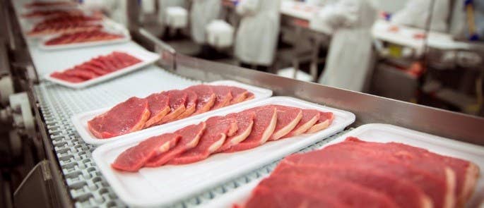 5 slices of red meat on polystyrene trays moving along a conveyor belt in a meat processing plant.