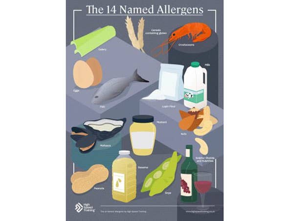 Free 14 Allergens Poster Preview