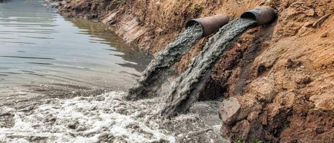 Water pipes emptying contaminated water into the sea