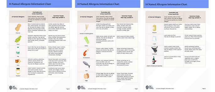 Food Allergy Chart Preview