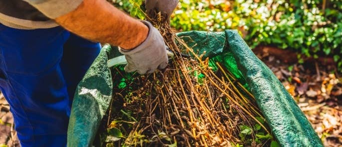 Garden waste