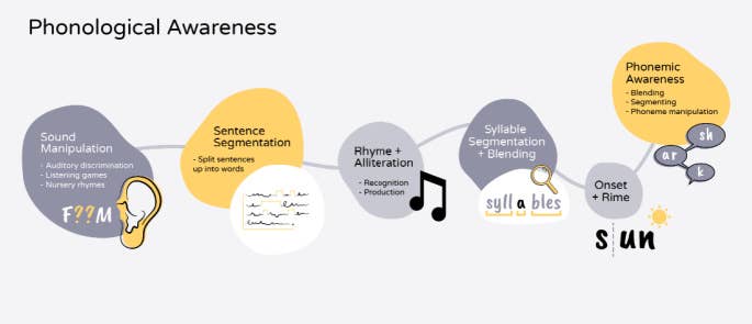 A diagram showing the process of phonological awareness