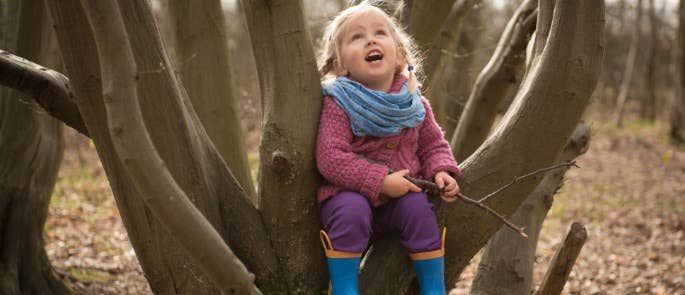 Child sitting in tree looking up at sky