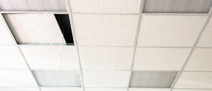 Ceiling tiles in a building that may contain asbestos