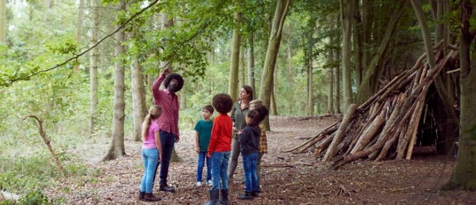 Forest school leader and group looking at tree