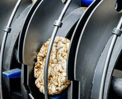 Vegan Risk Assessment & Checklist for Food Manufacturers: Free Templates