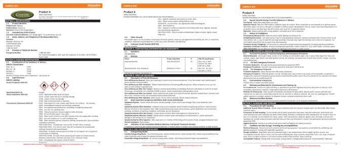 Safety data sheet example pages
