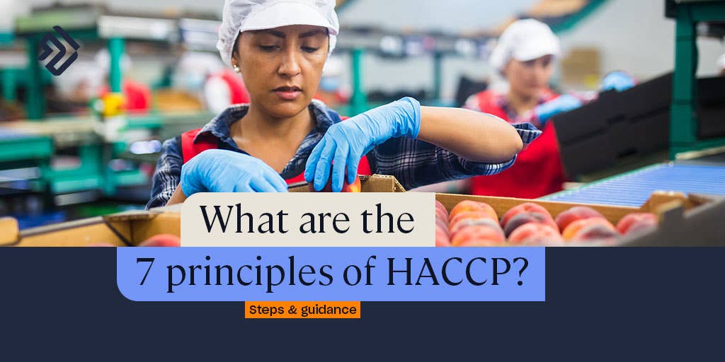 Haccp 7 Principles