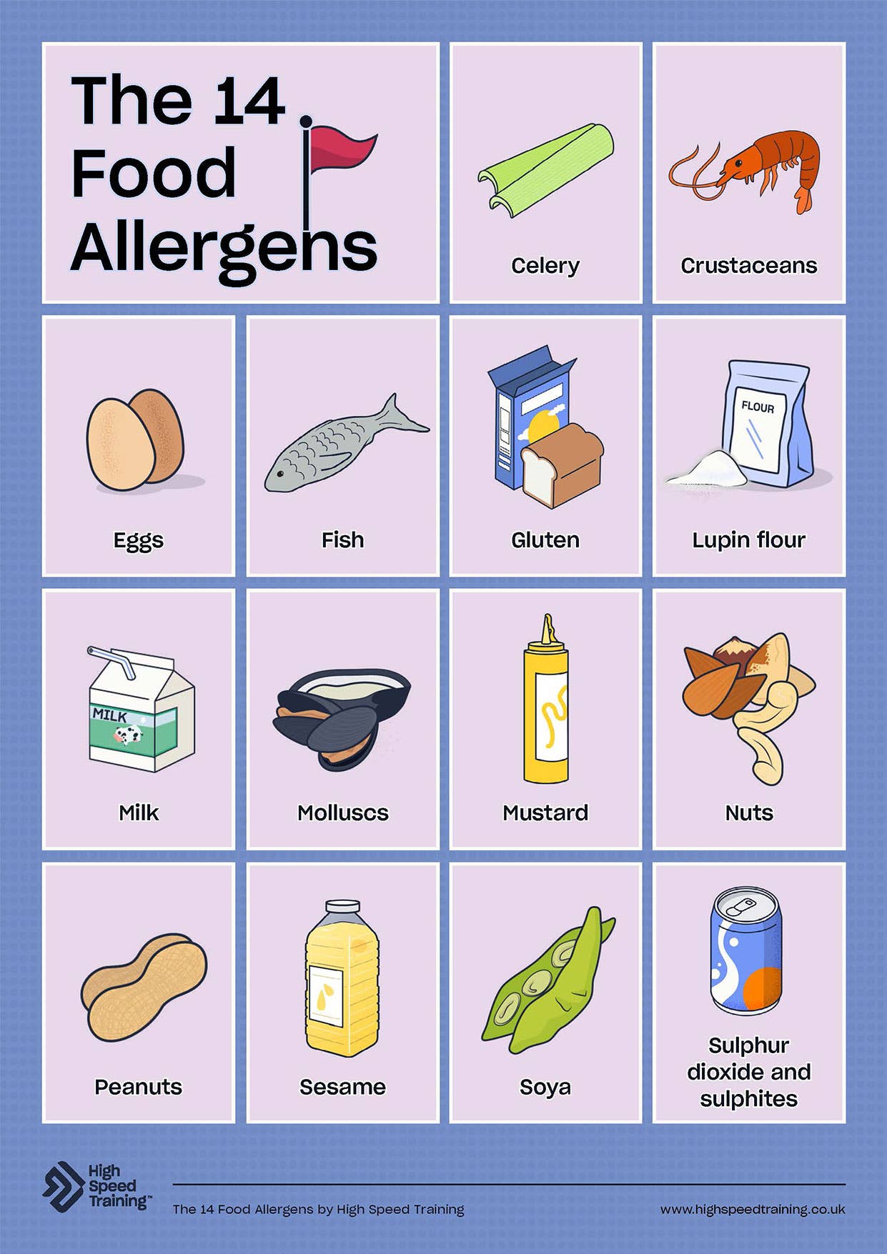 14 Food Allergens Poster for Schools