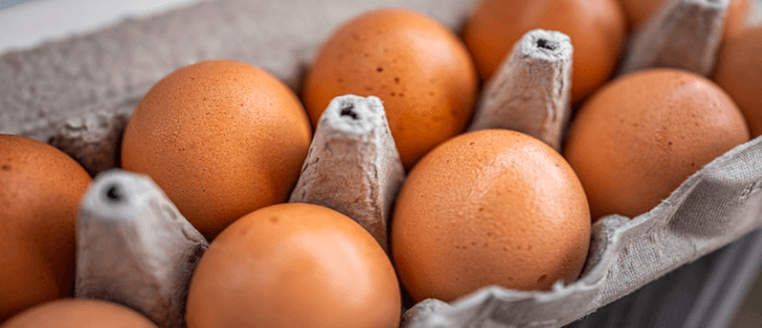 Eggs in their packaging