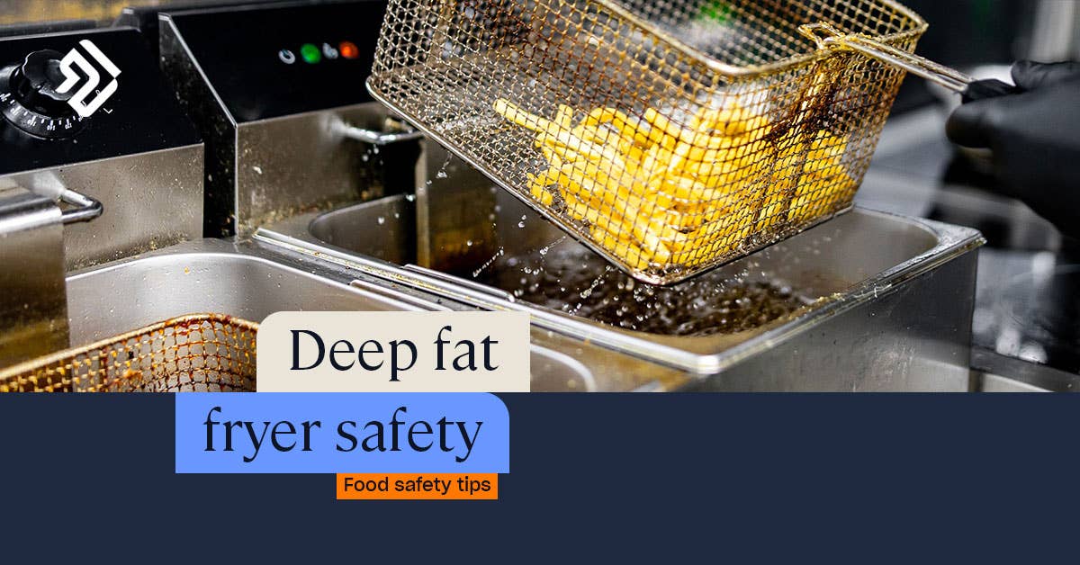 Domestic deep fat fryer hotsell