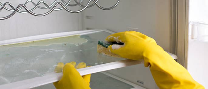 Cleaning a spillage on fridge shelves