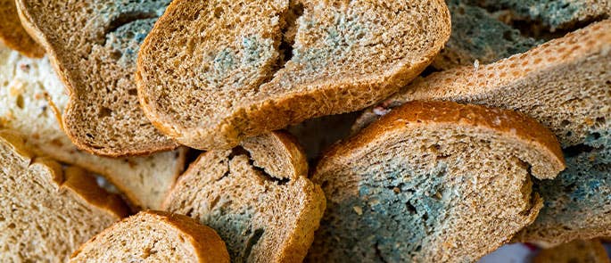 Spoiled mouldy bread