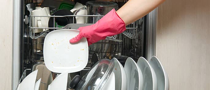 Person loading a dirty plate into a dishwasher