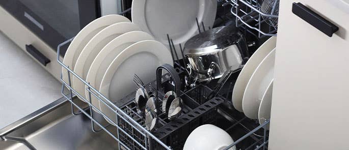 Fully loaded bottom rack of dishwasher