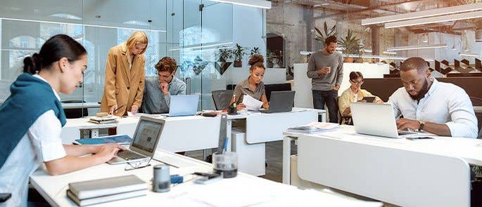 Employees using laptops in the office