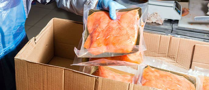 fish being packed and stored for transportation