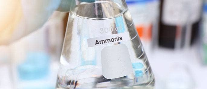 Ammonia