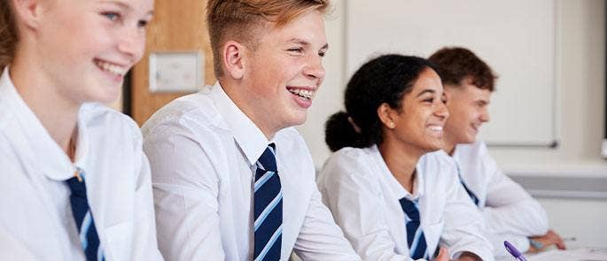 Secondary school pupils