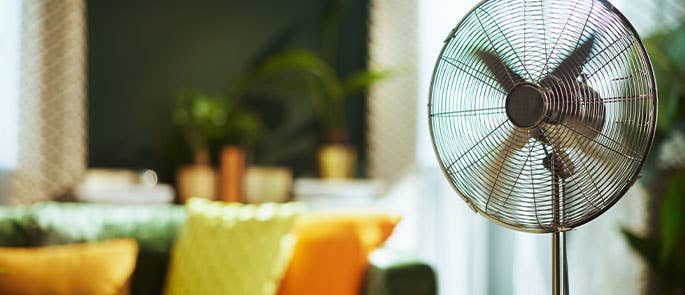 cooling pedestal fan in living room