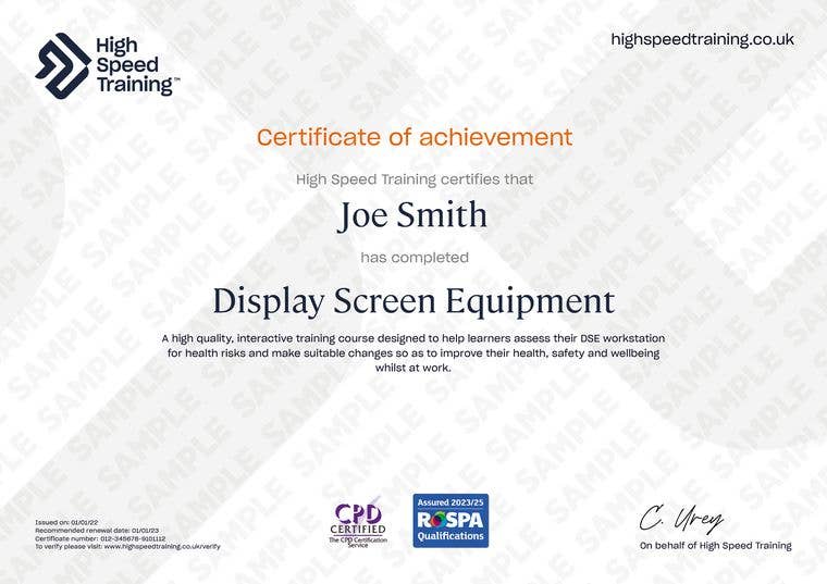 Sample Display Screen Equipment (DSE) Certificate