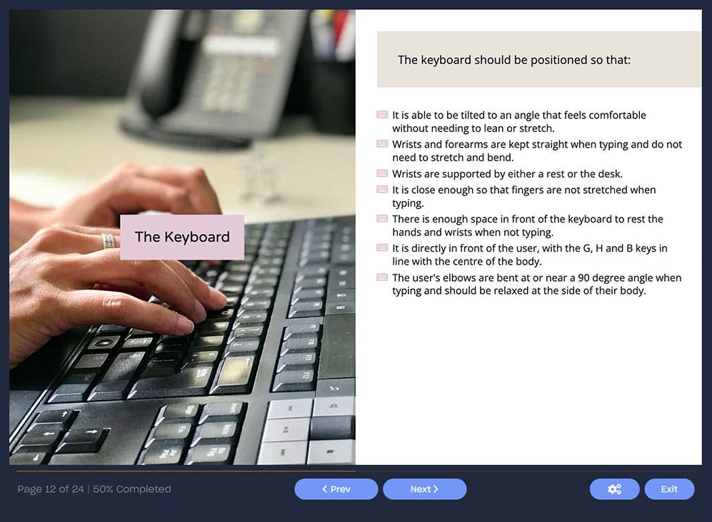 Screenshot 02 - Online DSE Training (Display Screen Equipment) Course